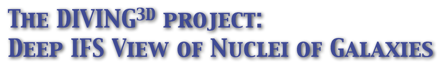 The DIVING3D project: Deep IFS View of Nuclei of Galaxies