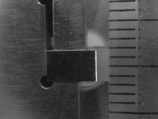Euca10g.jpg (25690 bytes)