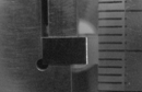 Euca10p.jpg (7404 bytes)