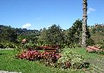 DSC04929.JPG