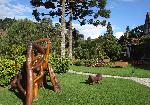 DSC04931.JPG