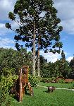 DSC04932.JPG