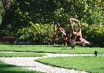DSC04993.JPG